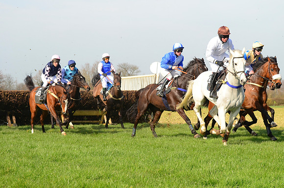 Race 2 Open Maiden Div 1 -  43