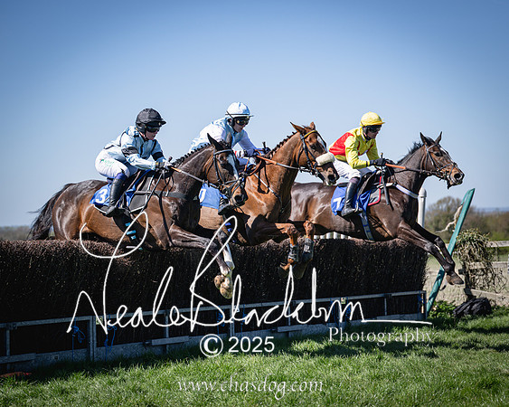 Race 2 - The Maiden (71 of 118)