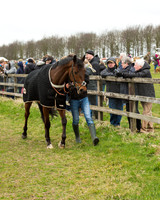 Race 5 - Red Mills Intermediate (2 of 115).jpg