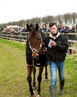 Race 5 - Red Mills Intermediate (3 of 115).jpg