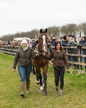Race 5 - Red Mills Intermediate (5 of 115).jpg