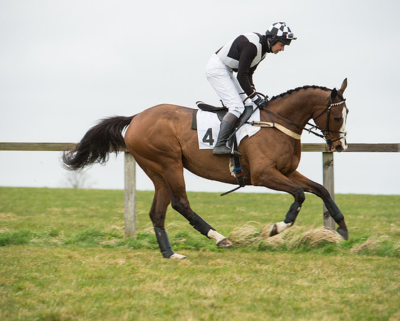 Race 5 - Red Mills Intermediate (23 of 115).jpg