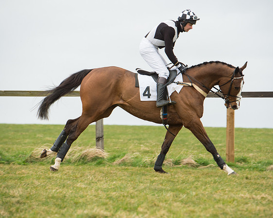Race 5 - Red Mills Intermediate (25 of 115).jpg
