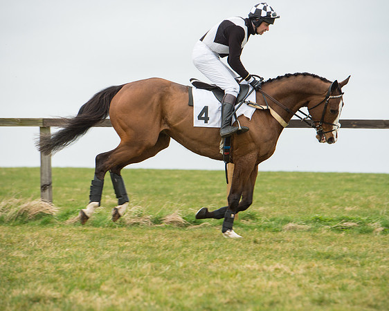 Race 5 - Red Mills Intermediate (26 of 115).jpg