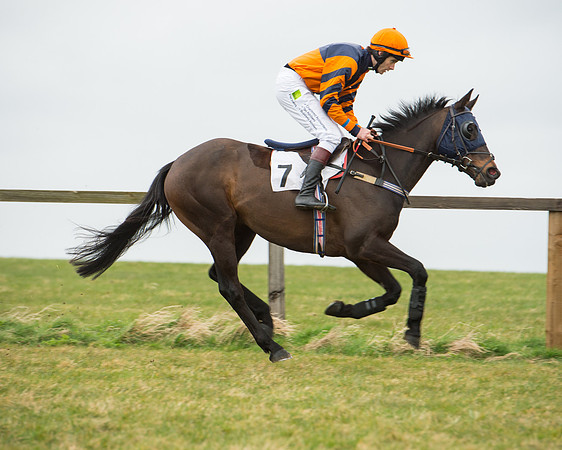 Race 5 - Red Mills Intermediate (28 of 115).jpg