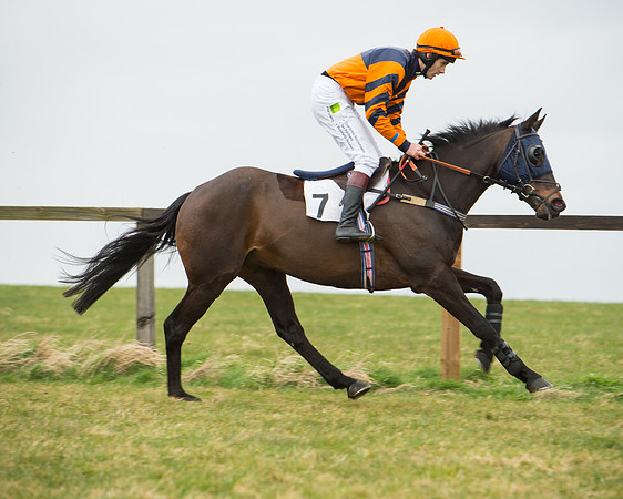 Race 5 - Red Mills Intermediate (29 of 115).jpg