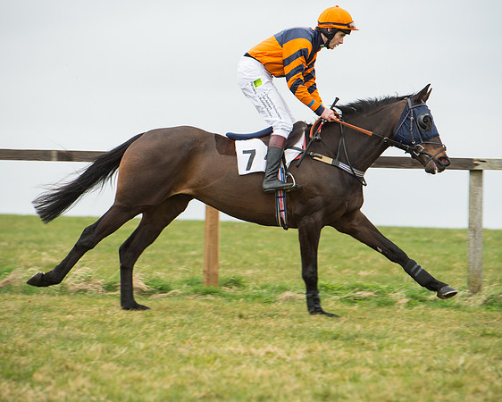 Race 5 - Red Mills Intermediate (30 of 115).jpg