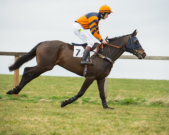 Race 5 - Red Mills Intermediate (31 of 115).jpg