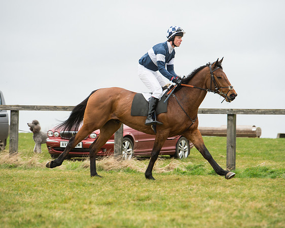 Race 5 - Red Mills Intermediate (32 of 115).jpg