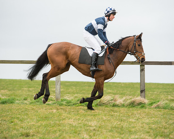 Race 5 - Red Mills Intermediate (33 of 115).jpg