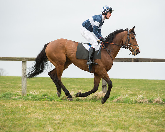 Race 5 - Red Mills Intermediate (34 of 115).jpg
