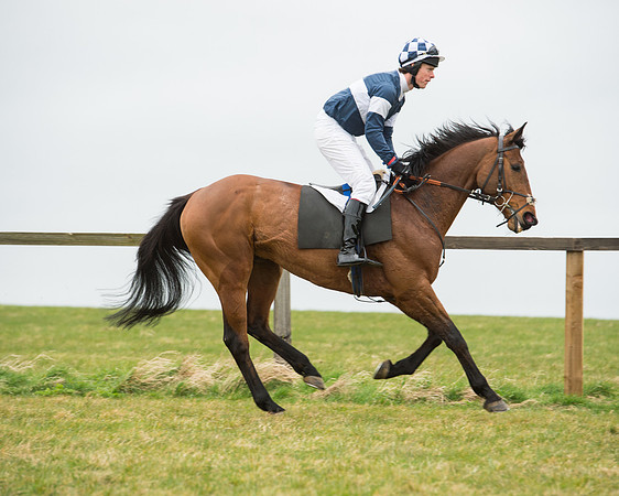Race 5 - Red Mills Intermediate (35 of 115).jpg