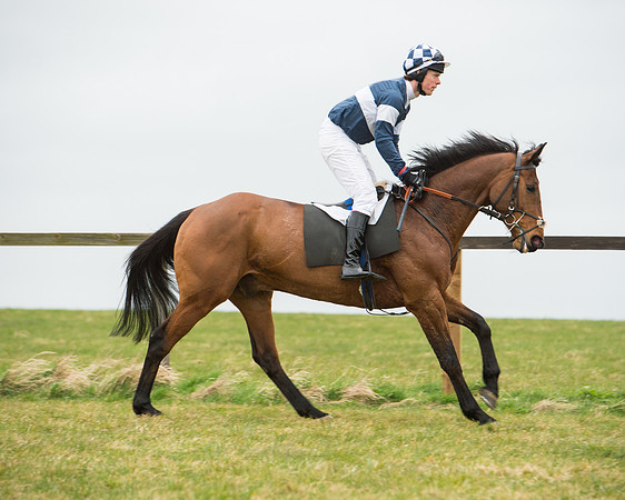 Race 5 - Red Mills Intermediate (36 of 115).jpg