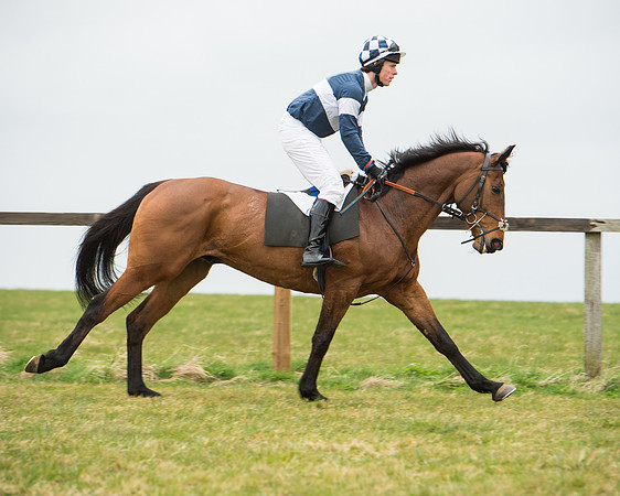 Race 5 - Red Mills Intermediate (37 of 115).jpg