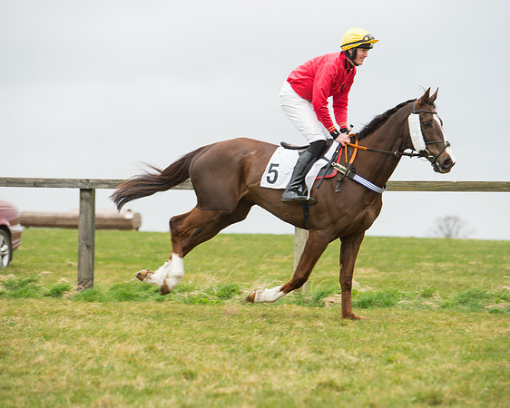 Race 5 - Red Mills Intermediate (38 of 115).jpg