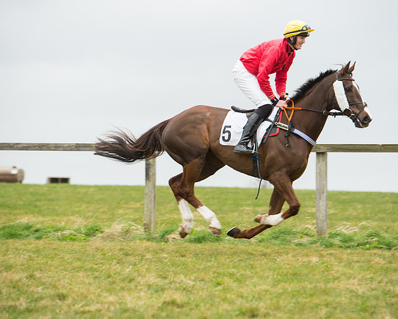 Race 5 - Red Mills Intermediate (39 of 115).jpg