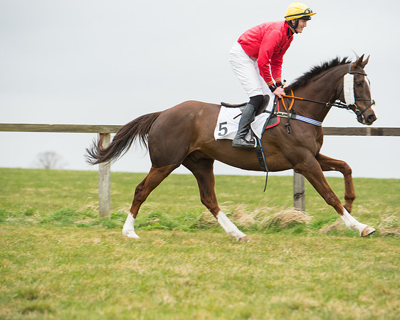 Race 5 - Red Mills Intermediate (41 of 115).jpg