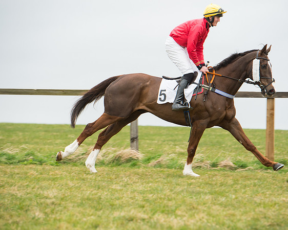Race 5 - Red Mills Intermediate (42 of 115).jpg