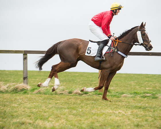 Race 5 - Red Mills Intermediate (43 of 115).jpg