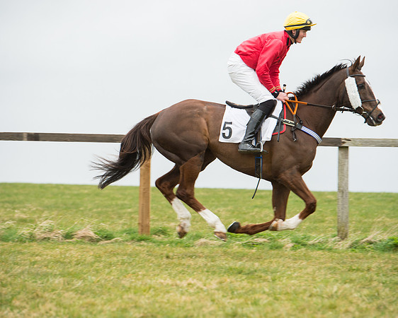 Race 5 - Red Mills Intermediate (44 of 115).jpg