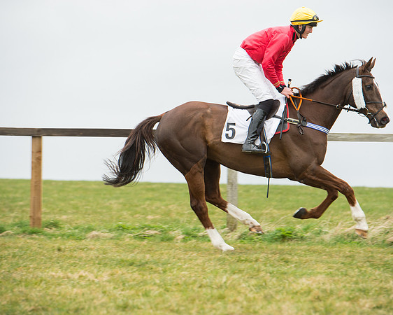 Race 5 - Red Mills Intermediate (45 of 115).jpg