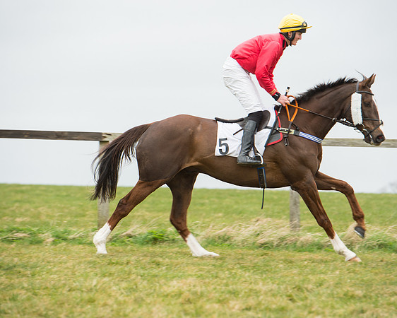 Race 5 - Red Mills Intermediate (46 of 115).jpg