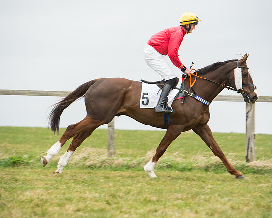 Race 5 - Red Mills Intermediate (47 of 115).jpg