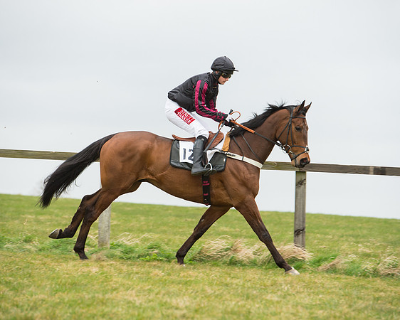 Race 5 - Red Mills Intermediate (48 of 115).jpg