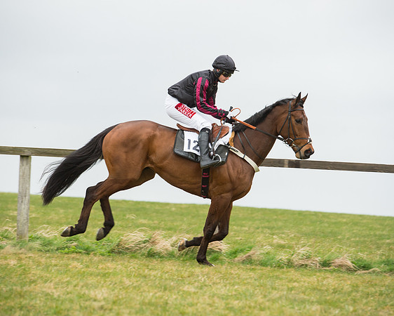 Race 5 - Red Mills Intermediate (49 of 115).jpg