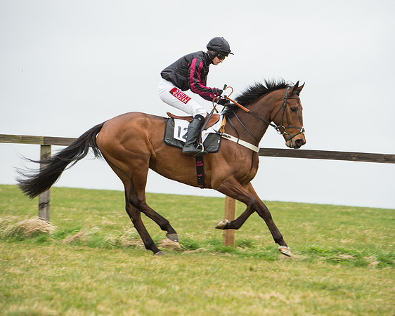Race 5 - Red Mills Intermediate (50 of 115).jpg