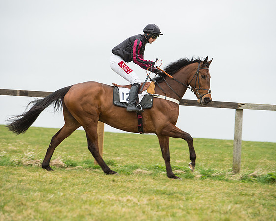 Race 5 - Red Mills Intermediate (51 of 115).jpg