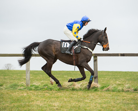 Race 5 - Red Mills Intermediate (52 of 115).jpg