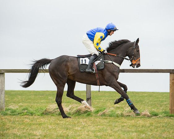 Race 5 - Red Mills Intermediate (53 of 115).jpg