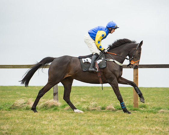 Race 5 - Red Mills Intermediate (54 of 115).jpg