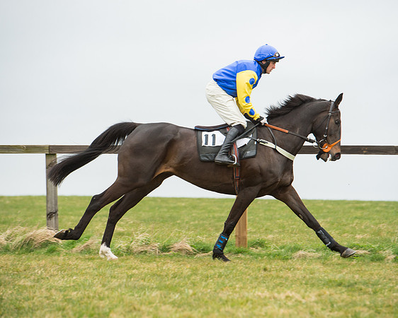 Race 5 - Red Mills Intermediate (55 of 115).jpg