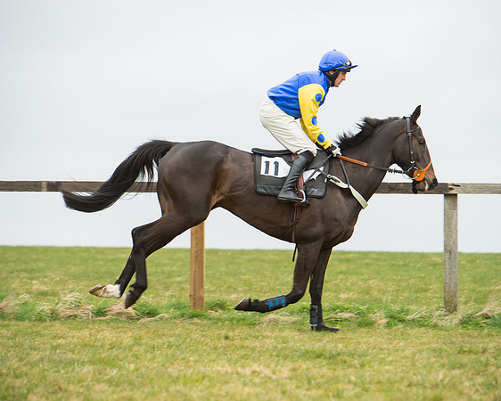 Race 5 - Red Mills Intermediate (56 of 115).jpg