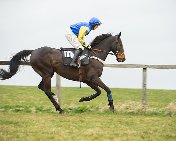 Race 5 - Red Mills Intermediate (57 of 115).jpg