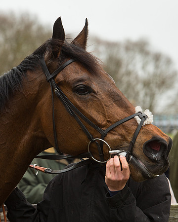 Race 5 - Red Mills Intermediate (109 of 115).jpg
