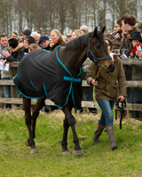 Race 2 - Open Maiden Race (2 of 106).jpg