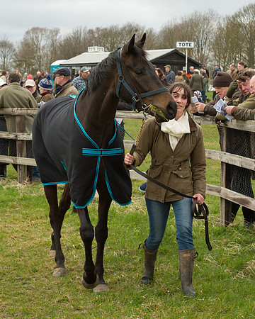 Race 2 - Open Maiden Race (4 of 106).jpg
