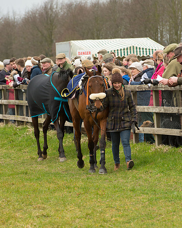 Race 2 - Open Maiden Race (5 of 106).jpg