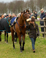 Race 2 - Open Maiden Race (7 of 106).jpg