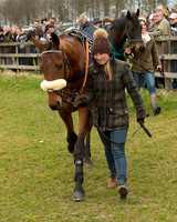 Race 2 - Open Maiden Race (8 of 106).jpg