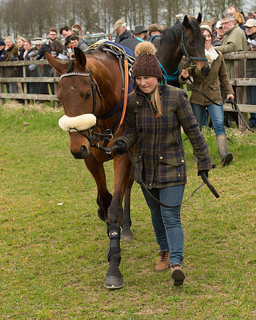 Race 2 - Open Maiden Race (8 of 106).jpg