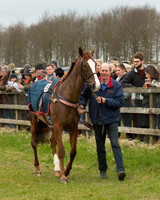 Race 2 - Open Maiden Race (9 of 106).jpg
