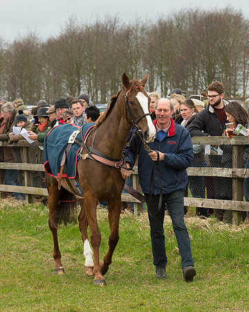 Race 2 - Open Maiden Race (9 of 106).jpg
