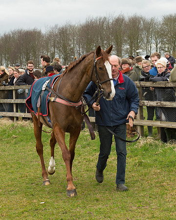 Race 2 - Open Maiden Race (10 of 106).jpg