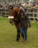 Race 2 - Open Maiden Race (13 of 106).jpg