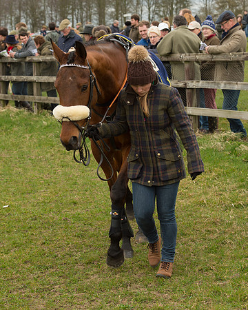 Race 2 - Open Maiden Race (13 of 106).jpg