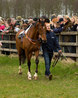 Race 2 - Open Maiden Race (14 of 106).jpg